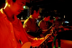 The Java Guitars (2012)